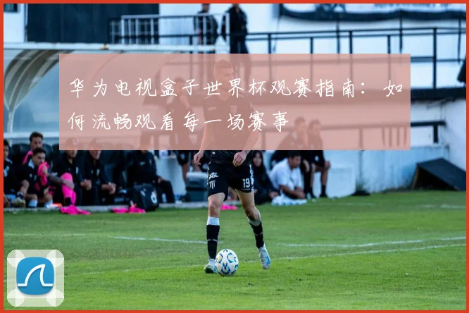 华为电视盒子世界杯观赛指南：如何流畅观看每一场赛事