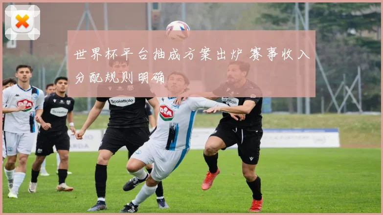 世界杯平台抽成方案出炉 赛事收入分配规则明确