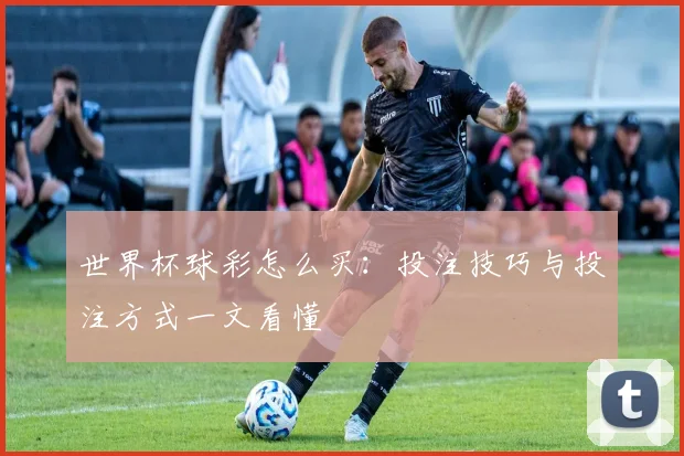世界杯球彩怎么买：投注技巧与投注方式一文看懂