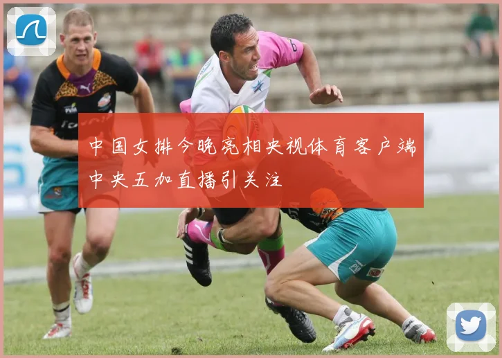 中国女排今晚亮相央视体育客户端中央五加直播引关注