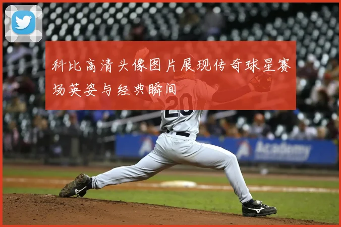 科比高清头像图片展现传奇球星赛场英姿与经典瞬间