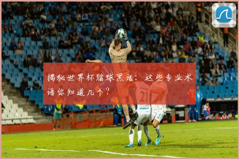揭秘世界杯赌球黑话：这些专业术语你知道几个？