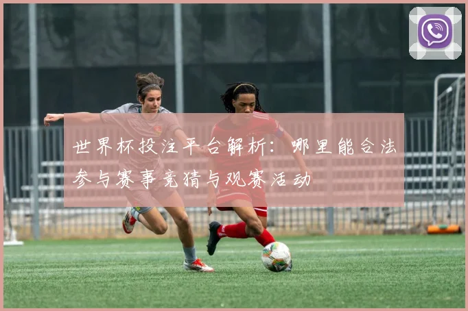 世界杯投注平台解析：哪里能合法参与赛事竞猜与观赛活动