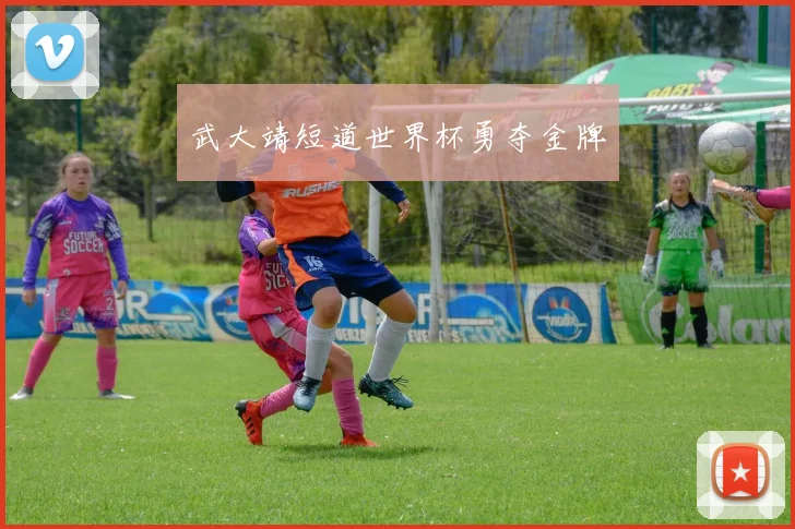 武大靖短道世界杯勇夺金牌