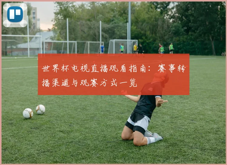 世界杯电视直播观看指南：赛事转播渠道与观赛方式一览