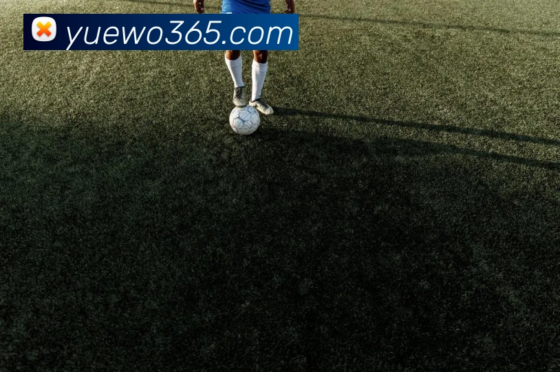 leyu乐鱼在线官网平台生态图